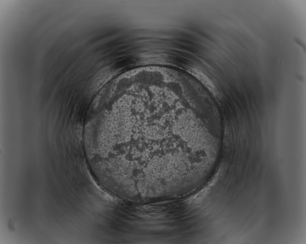 X0000092220849200710121155