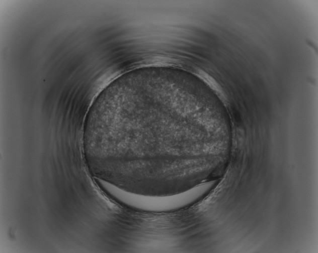 X0000092220850200710121155