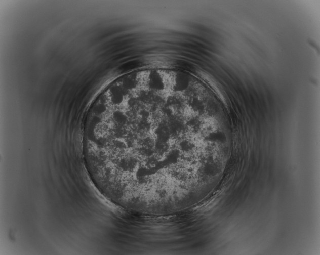 X0000092220851200710121155