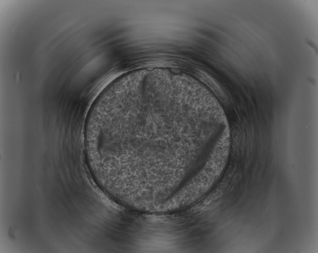 X0000092220852200710121155