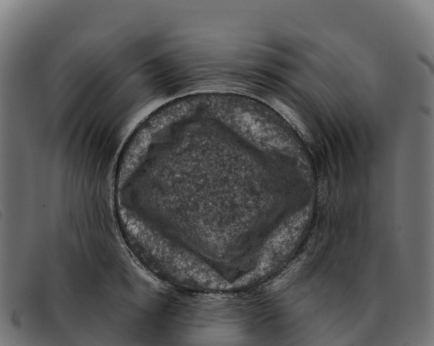 X0000092220854200710121155