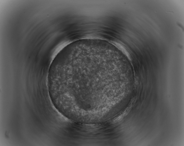 X0000092220855200710121155