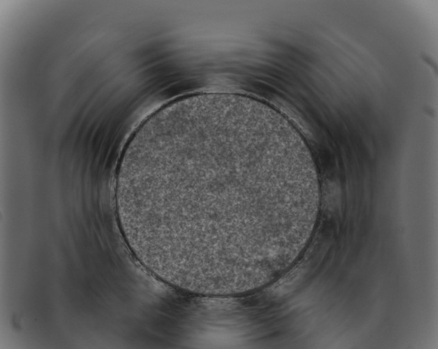 X0000092220856200710121155