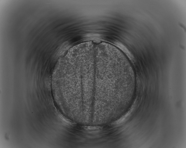X0000092220857200710121155