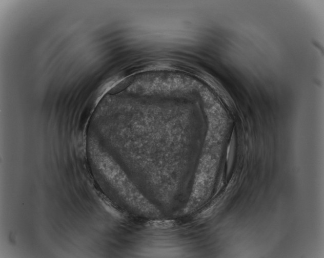 X0000092220858200710121155