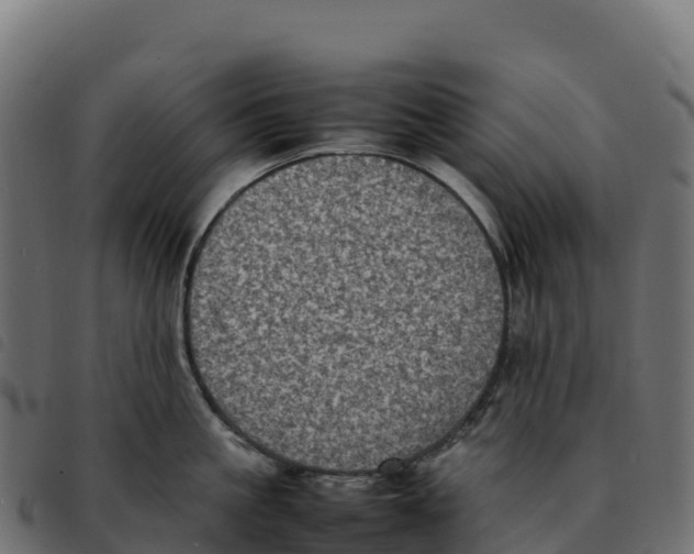 X0000092220861200710121155