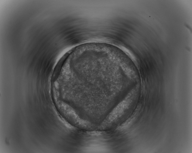 X0000092220862200710121155