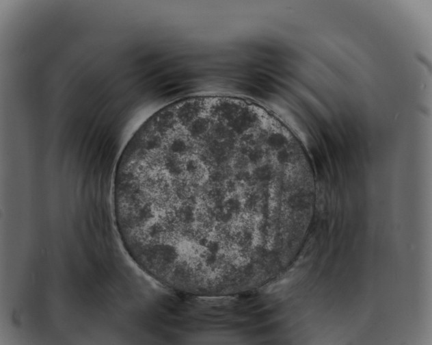 X0000092220863200710121155