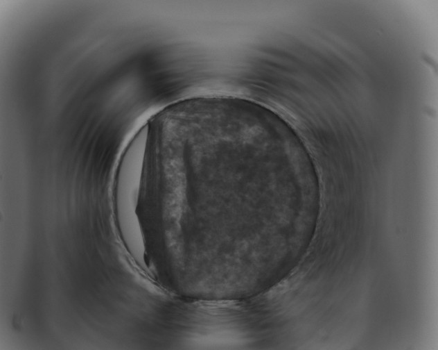 X0000092220864200710121155