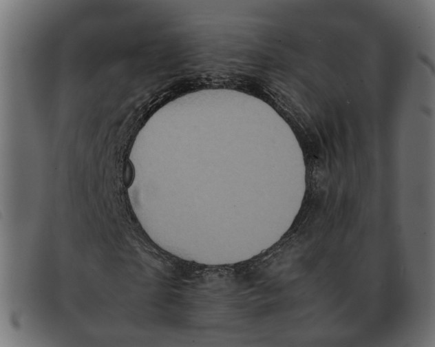 X0000092220865200710121155