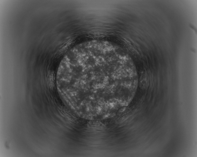 X0000092220866200710121155