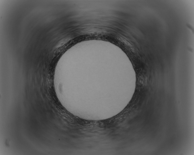 X0000092220869200710121155