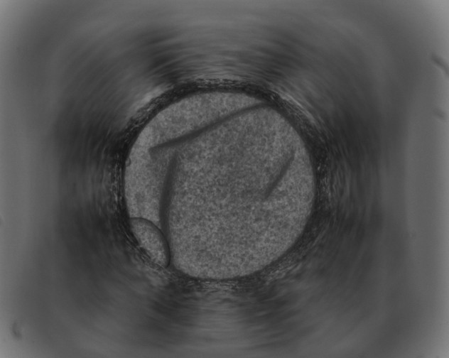 X0000092220870200710121155