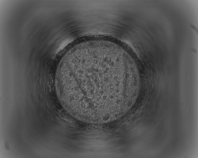 X0000092220871200710121155