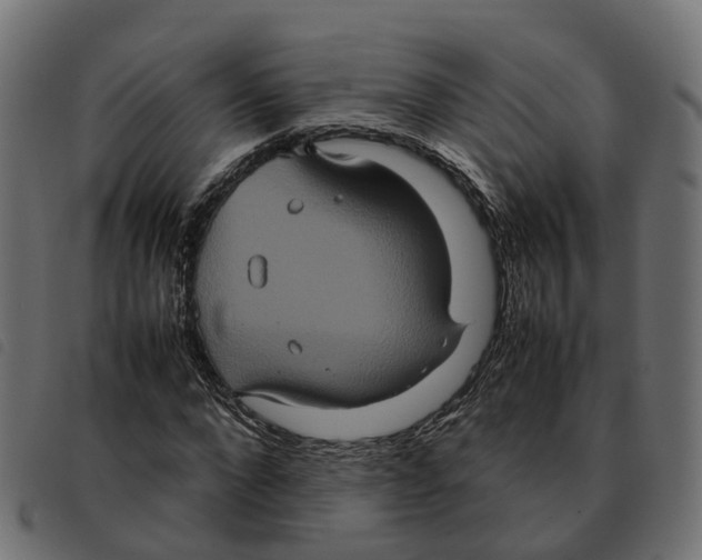 X0000092220872200710121155
