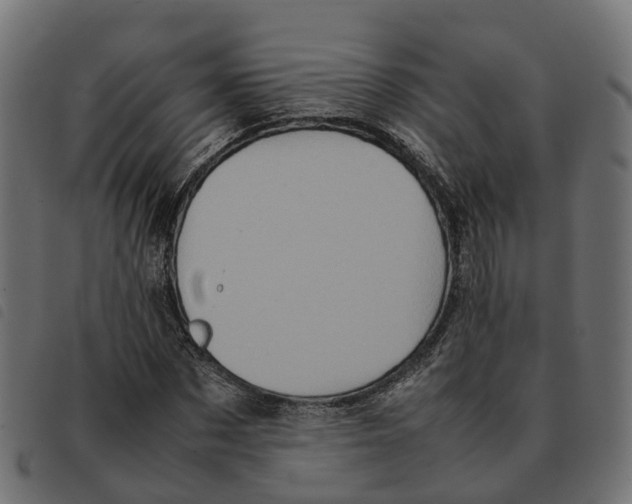 X0000092220873200710121155