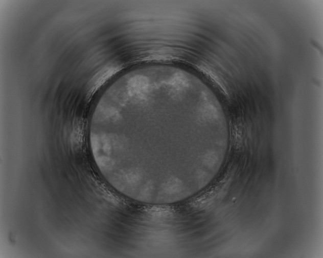 X0000092220874200710121155