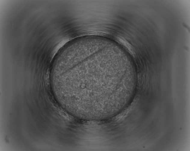 X0000092220875200710121155