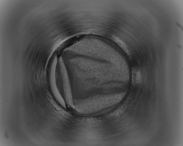 X0000092220876200710121155