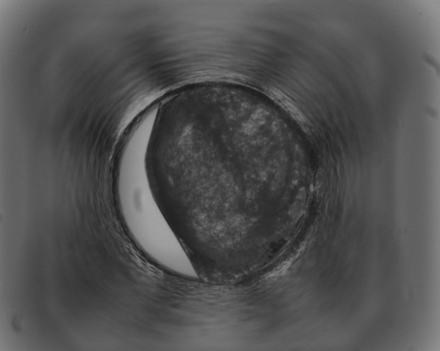 X0000092220877200710121154