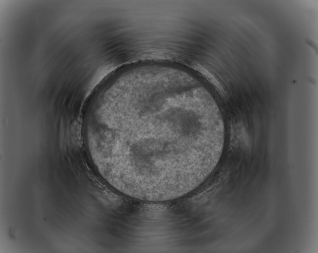 X0000092220878200710121154