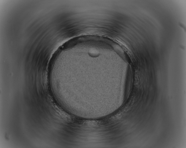X0000092220880200710121154