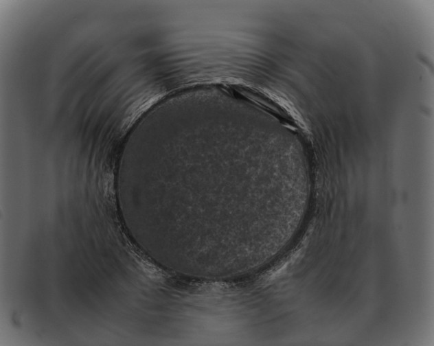 X0000092220881200710121154