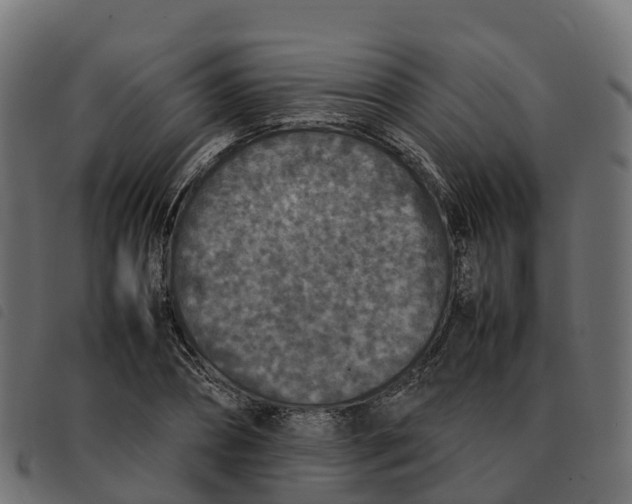 X0000092220882200710121154