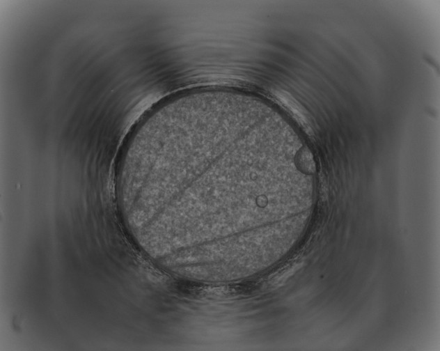 X0000092220883200710121154
