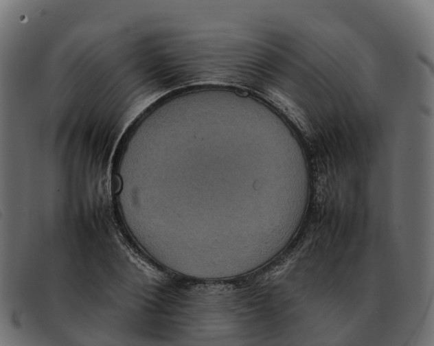 X0000092220884200710121154