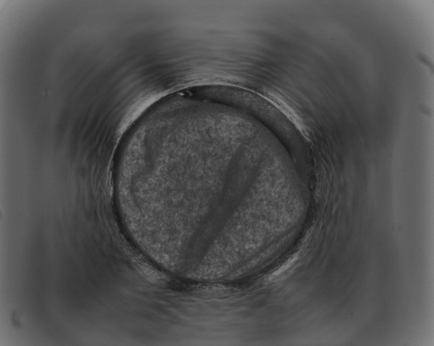 X0000092220885200710121154