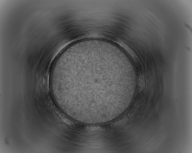 X0000092220886200710121154