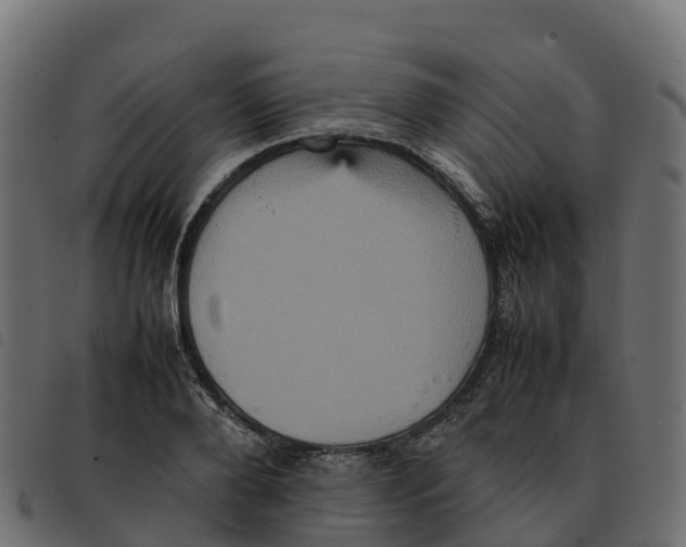 X0000092220888200710121154