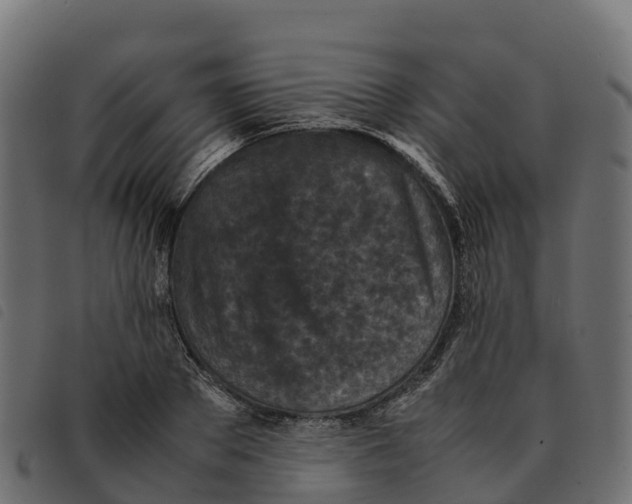 X0000092220889200710121154