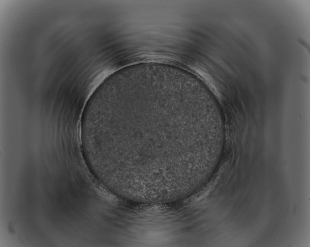X0000092220891200710121154