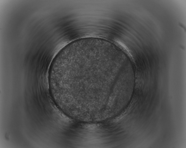 X0000092220892200710121154