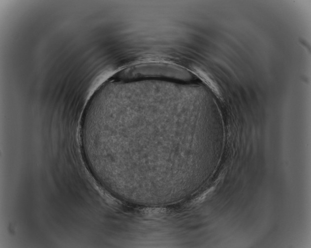 X0000092220893200710121154