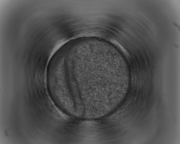 X0000092220894200710121154