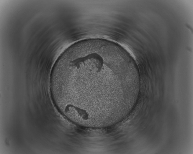 X0000092220895200710121154