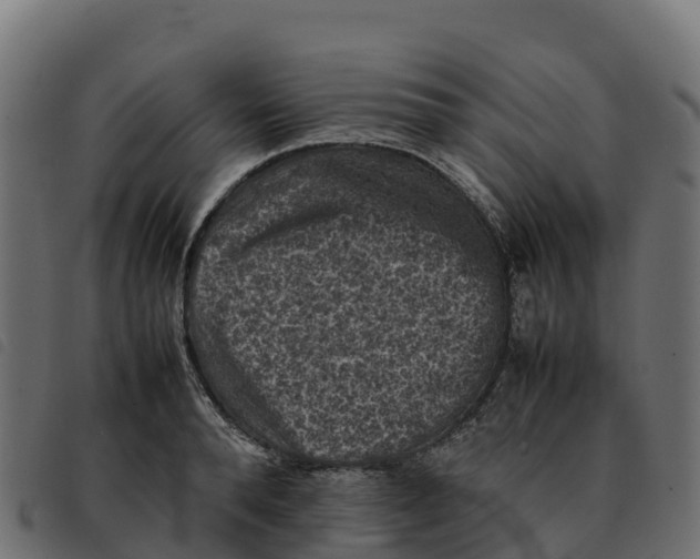 X0000092220896200710121154