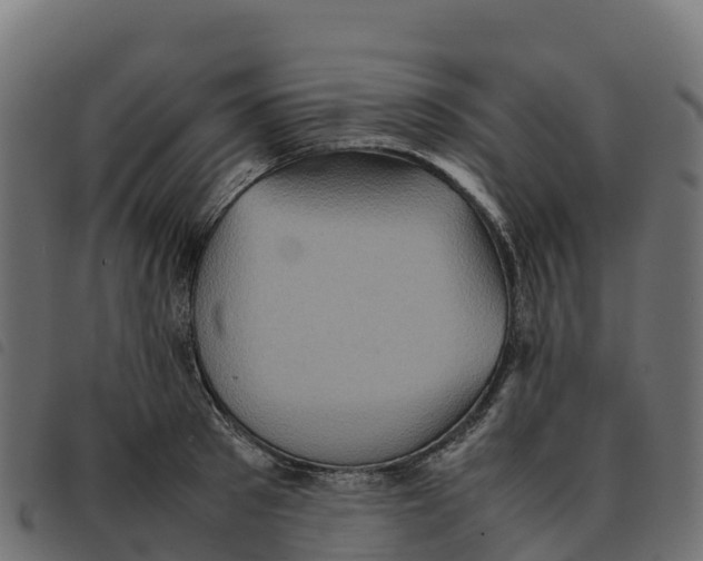 X0000092220897200710121154