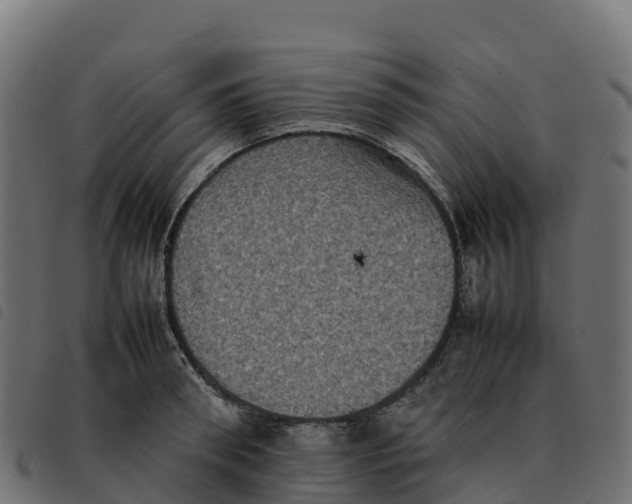 X0000092220898200710121154