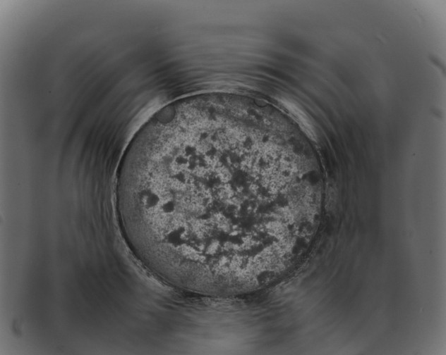 X0000092220899200710121154