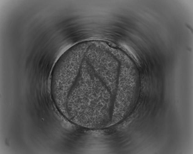 X0000092220900200710121154