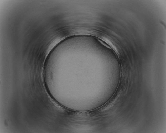X0000092220901200710121154