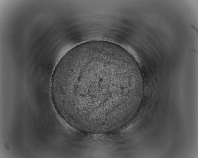 X0000092220903200710121154