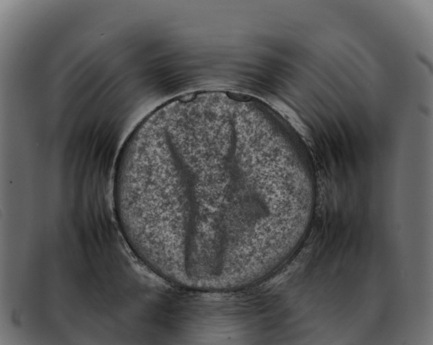 X0000092220904200710121154