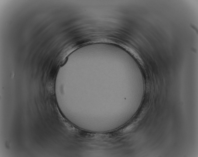 X0000092220905200710121154