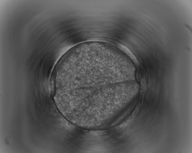 X0000092220908200710121154
