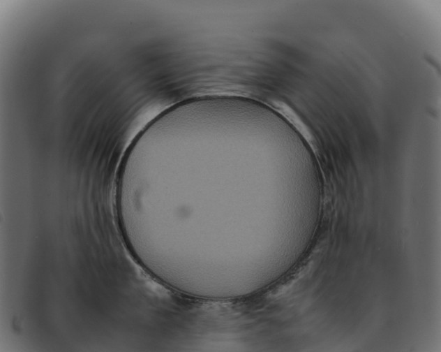 X0000092220909200710121154